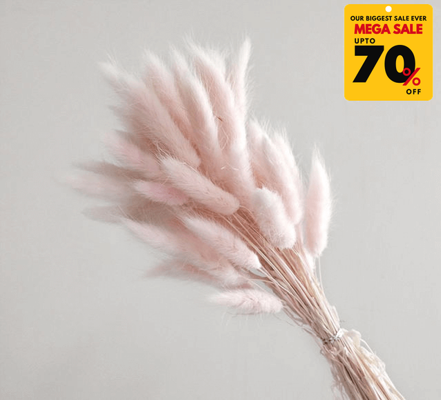 Natural Dried Fluffy Bunny Tails - SC 49