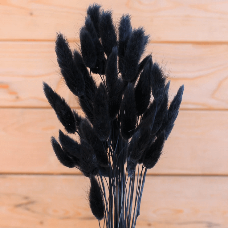 Natural Dried Fluffy Bunny Tails - SC Black