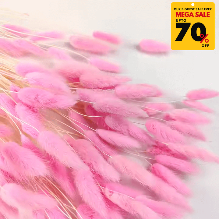 Natural Dried Fluffy Bunny Tails - SC 42