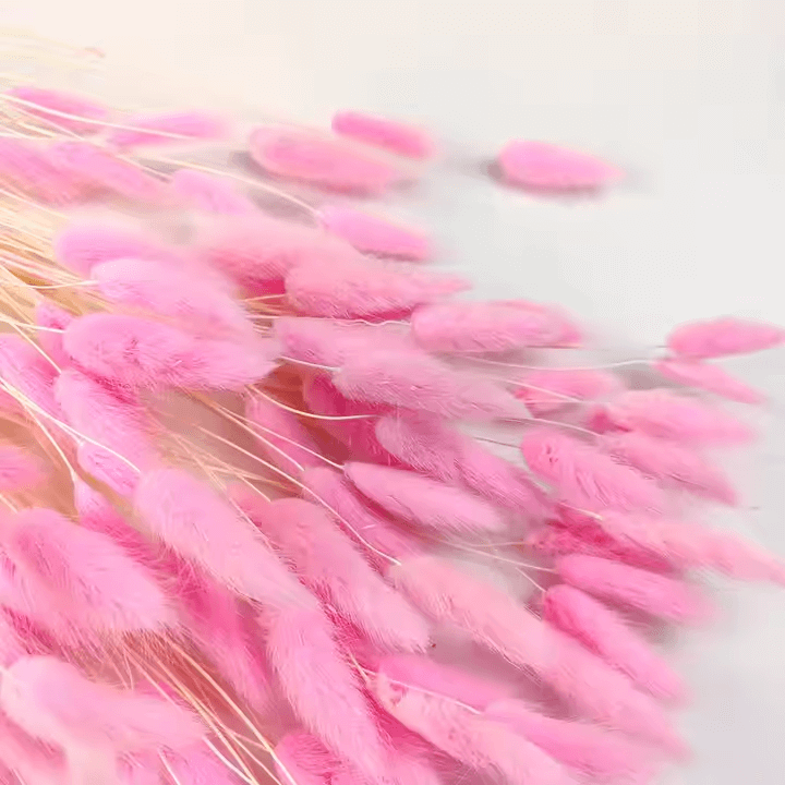 Natural Dried Fluffy Bunny Tails - SC 42