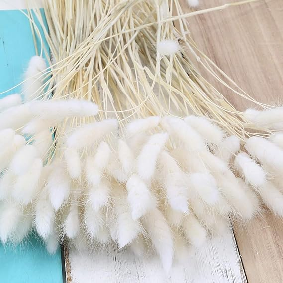 Natural Dried Fluffy Bunny Tails - SC 02