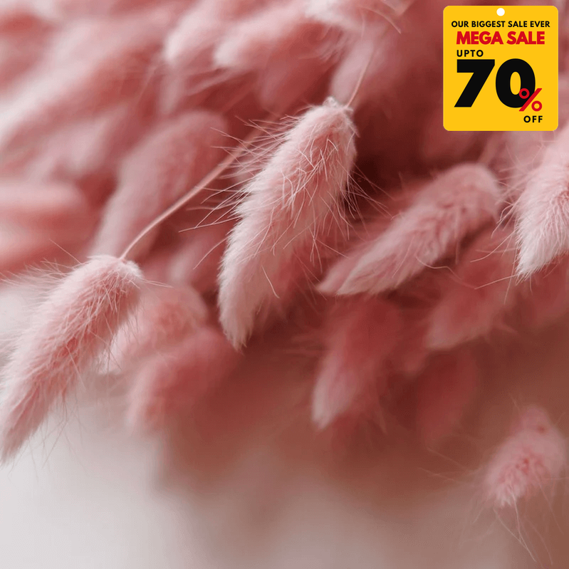 Natural Dried Fluffy Bunny Tails - SC 39