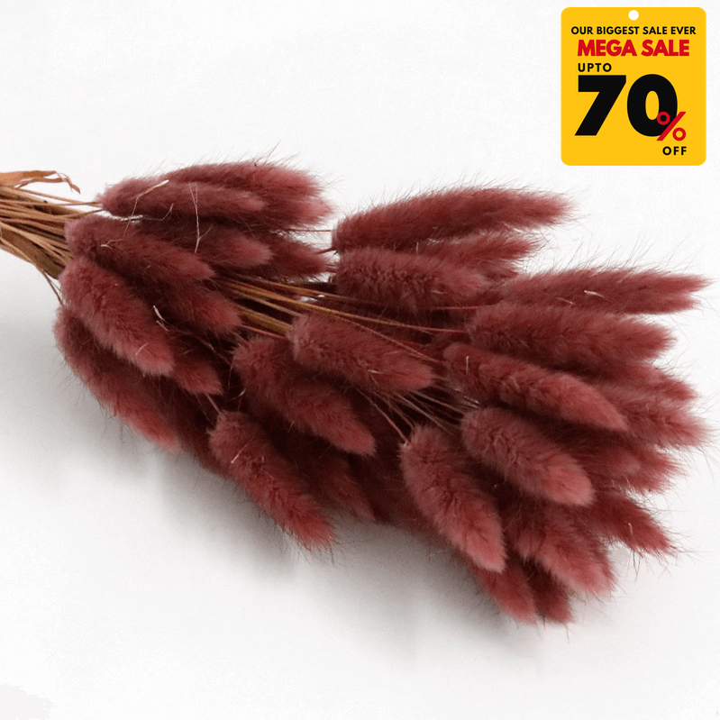 Natural Dried Fluffy Bunny Tails - SC 38