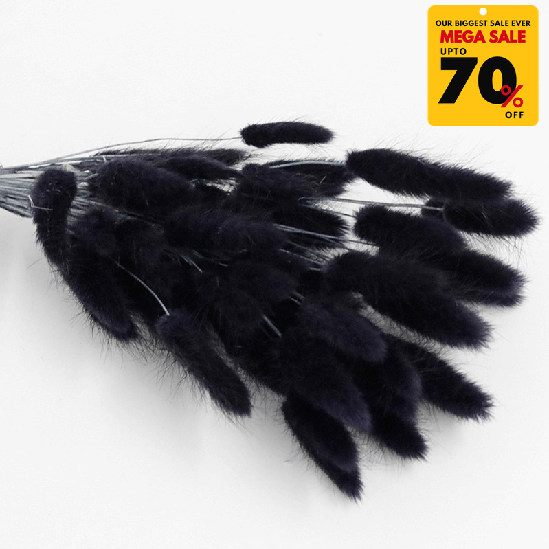 Natural Dried Fluffy Bunny Tails - SC 58