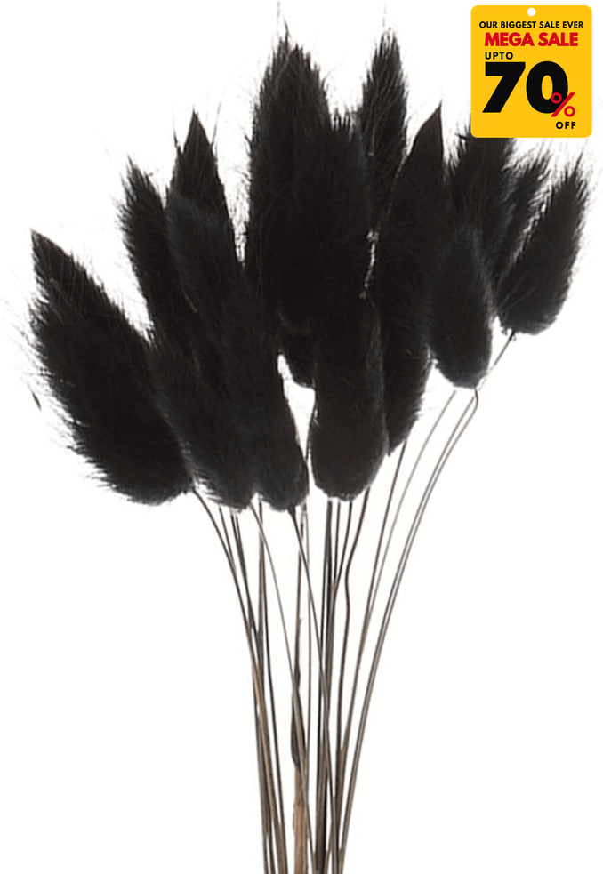Natural Dried Fluffy Bunny Tails - SC Black