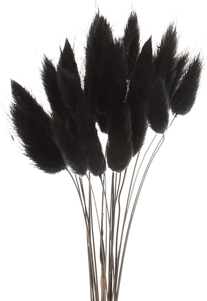 Natural Dried Fluffy Bunny Tails - SC Black