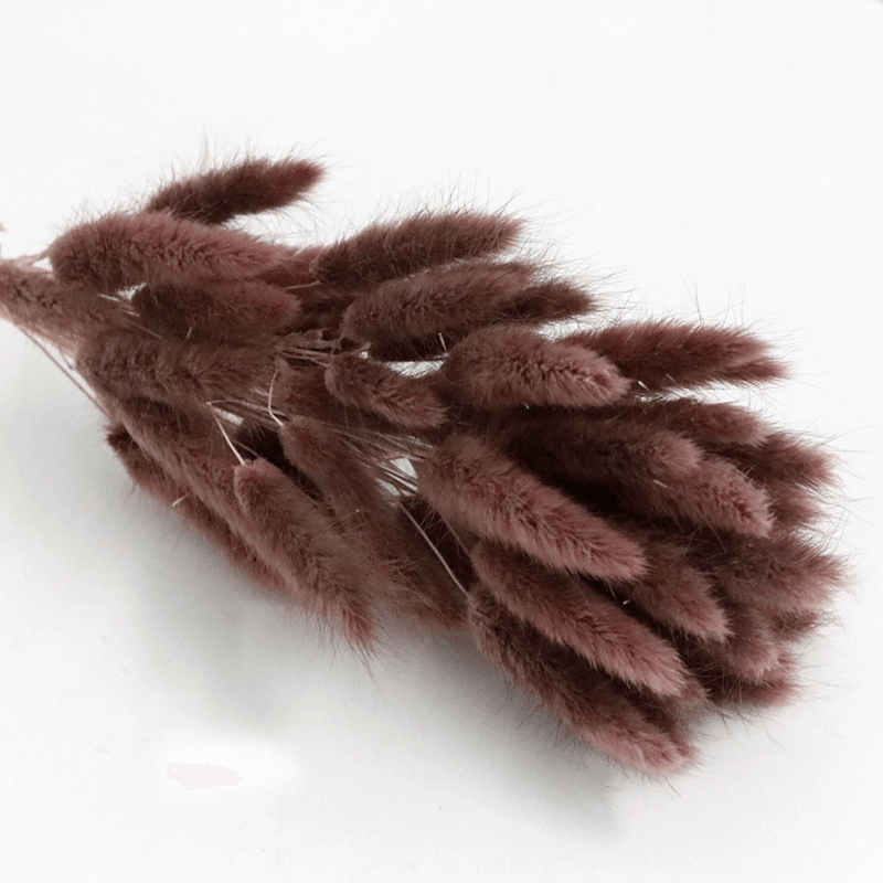 Natural Dried Fluffy Bunny Tails - SC 37