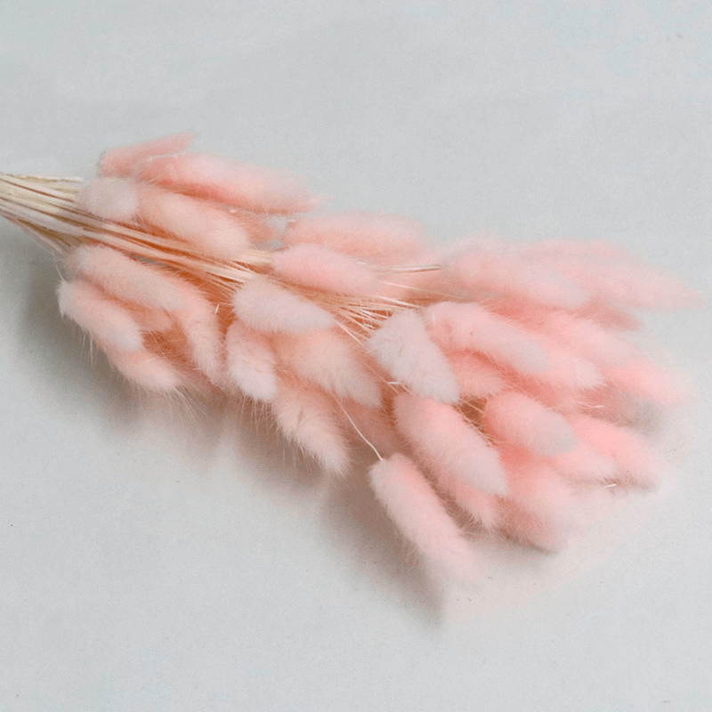 Natural Dried Fluffy Bunny Tails - SC 49