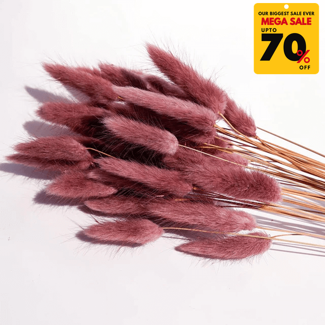 Natural Dried Fluffy Bunny Tails - SC 32