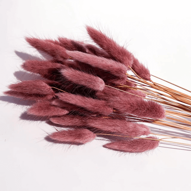 Natural Dried Fluffy Bunny Tails - SC 32