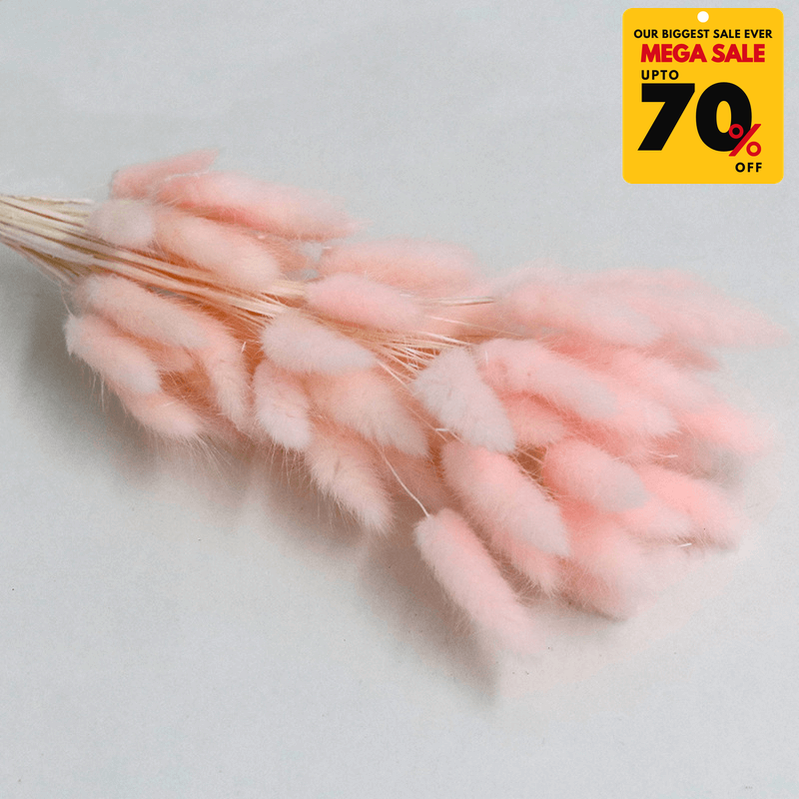 Natural Dried Fluffy Bunny Tails - SC 49