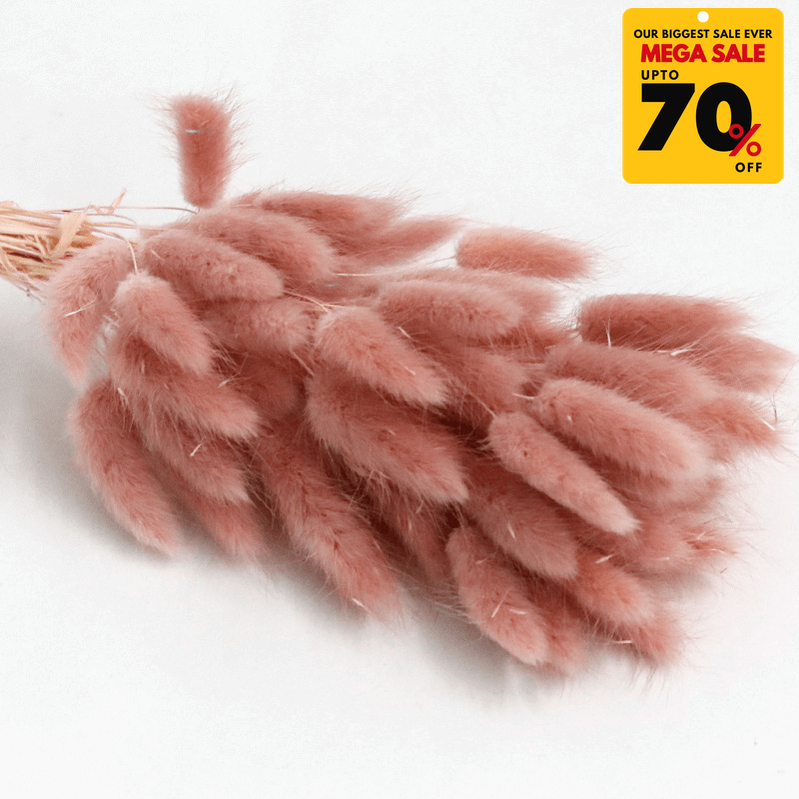 Natural Dried Fluffy Bunny Tails - SC 39