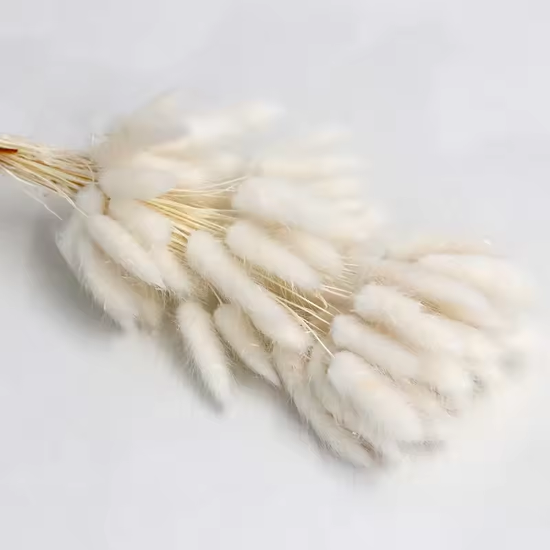 Natural Dried Fluffy Bunny Tails - SC 02