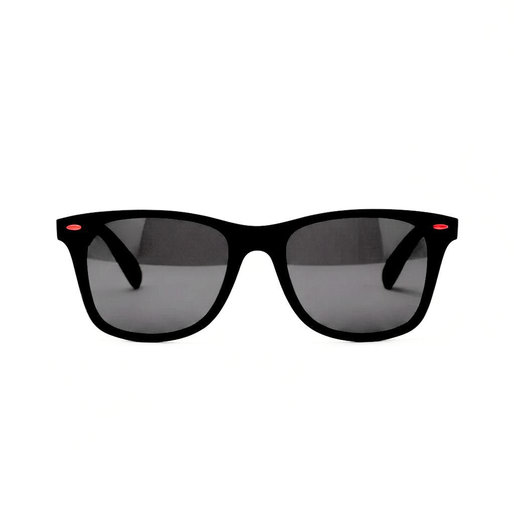 Classic Wayfarer Sunglasses - Matte Black